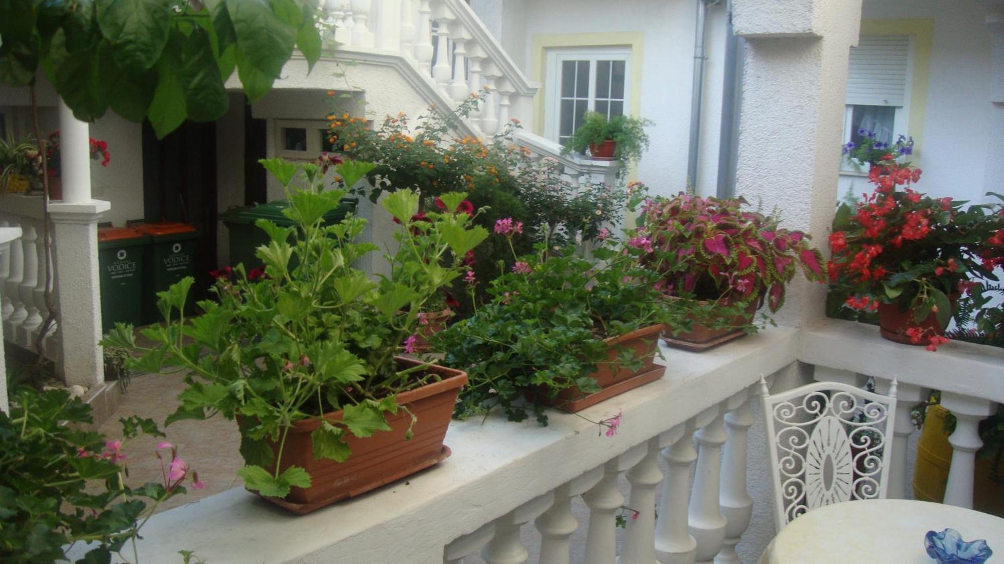 Apartments Vodice Marica Quarto foto